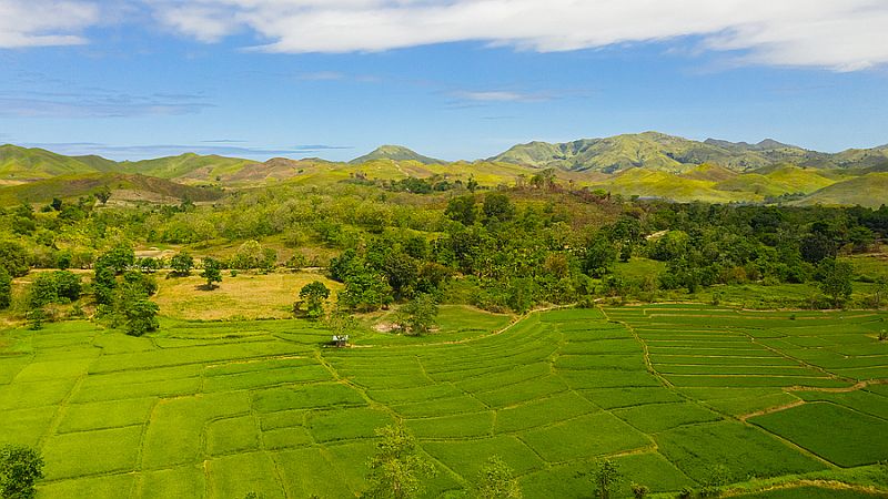 The Green Hills Of Bohol