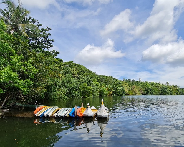 Boats at Lake Danao Park