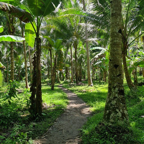 The walk to Busay Waterfalls