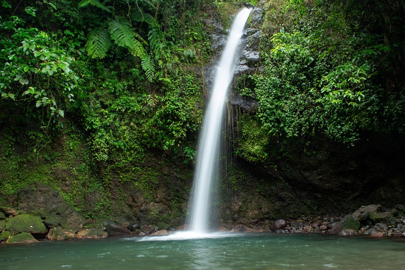 Aguinid Falls Moalboal Cebu